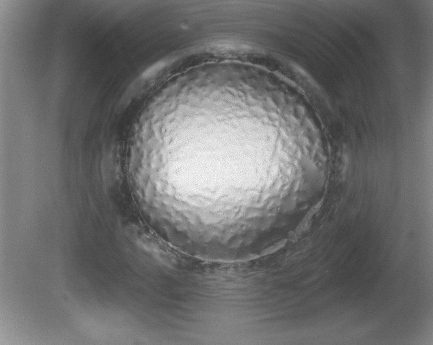 X0000081601016200701221131