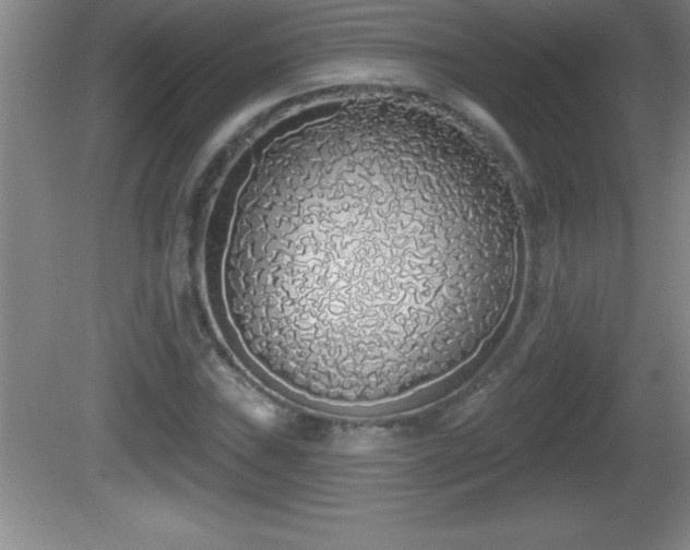 X0000081601019200701221131