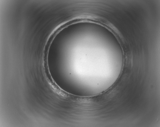 X0000081601020200701221131