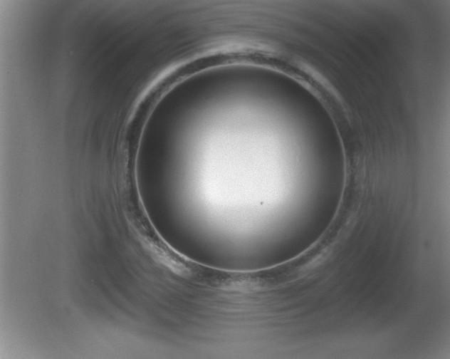 X0000081601021200701221131