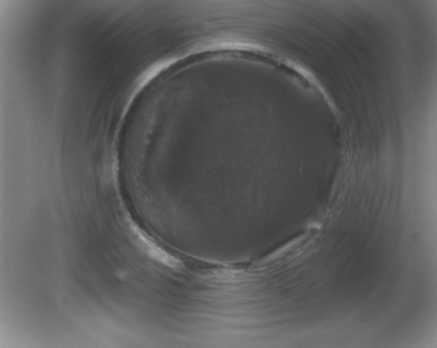 X0000081601024200701221131