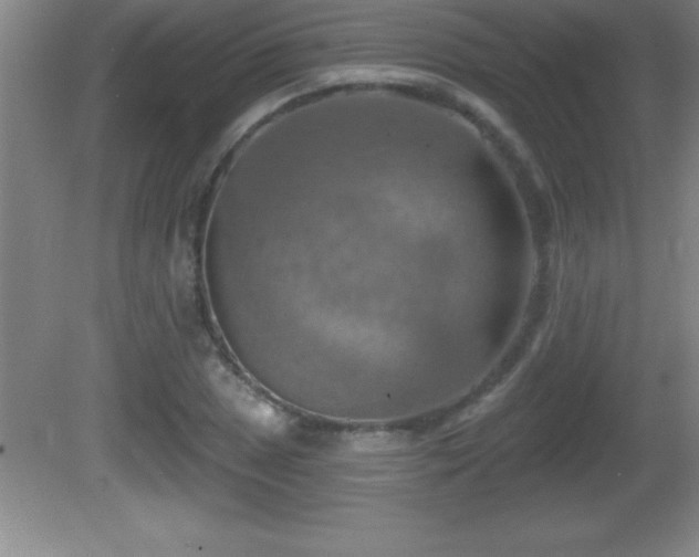 X0000081601025200701221131