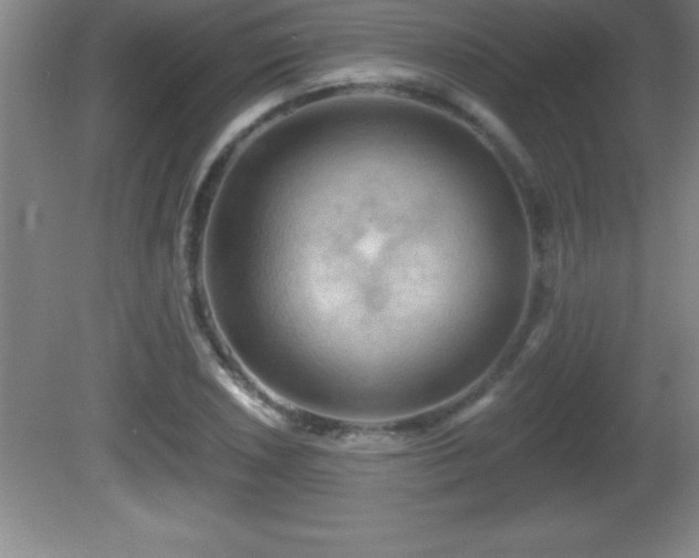 X0000081601026200701221131