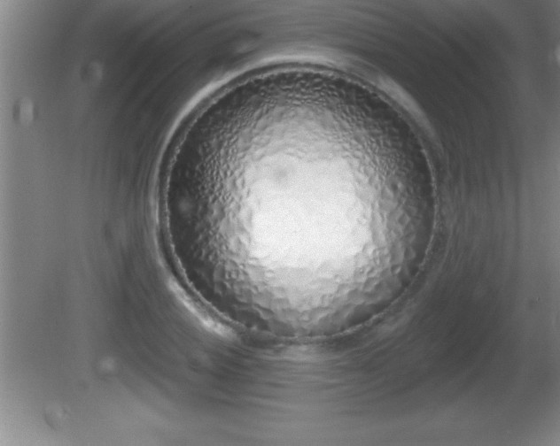 X0000081601028200701221131