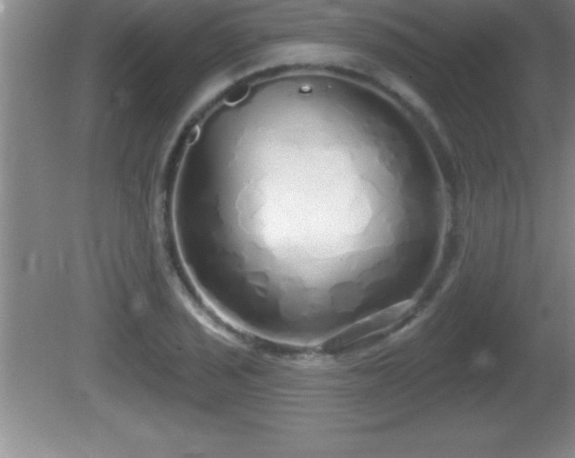 X0000081601029200701221131