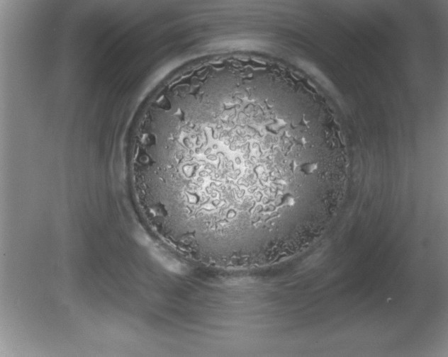 X0000081601031200701221131