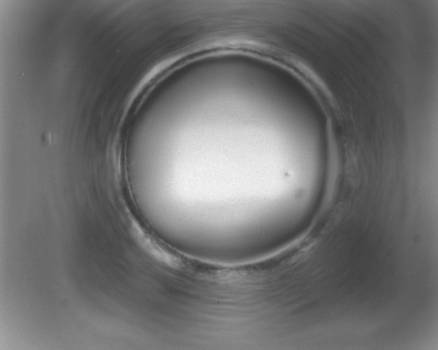 X0000081601032200701221131