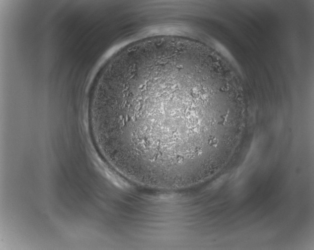 X0000081601035200701221131