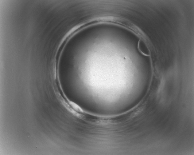 X0000081601036200701221131