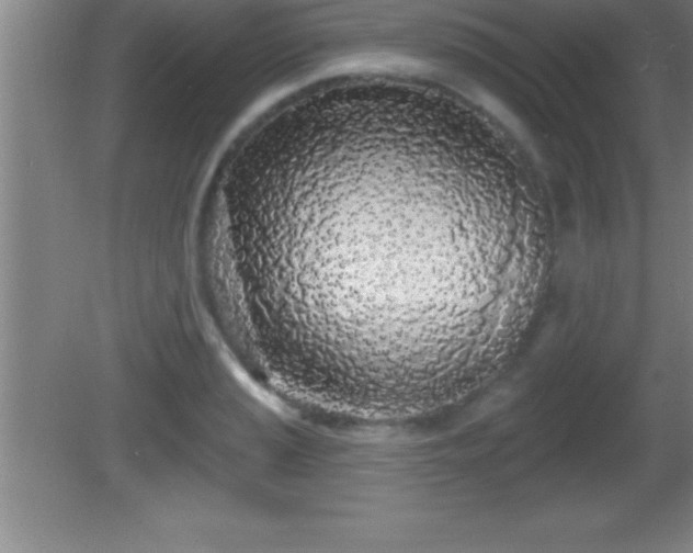 X0000081601037200701221131