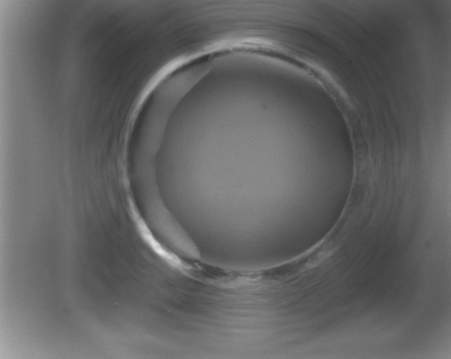 X0000081601038200701221131