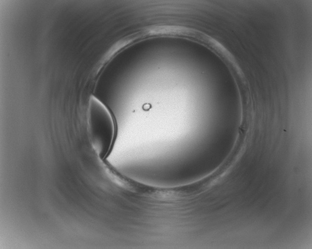 X0000081601041200701221131