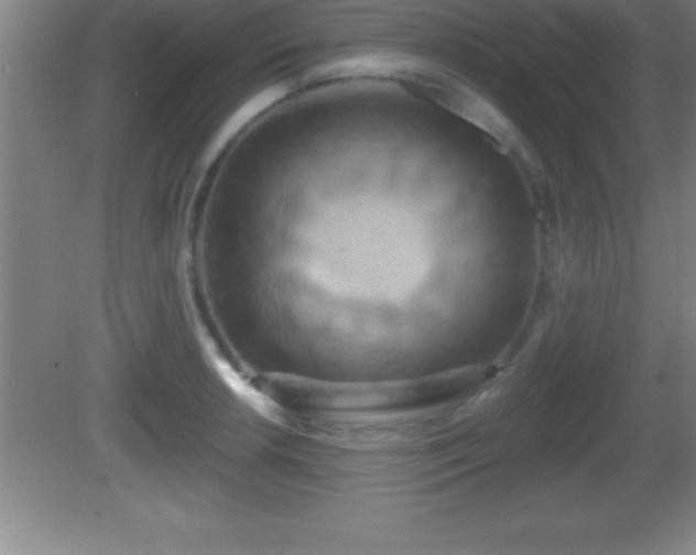 X0000081601042200701221131