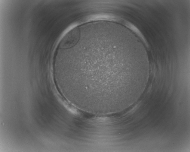 X0000081601043200701221131