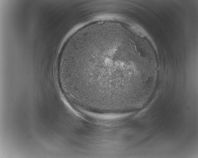 X0000081601045200701221131