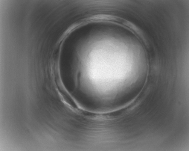 X0000081601049200701221131