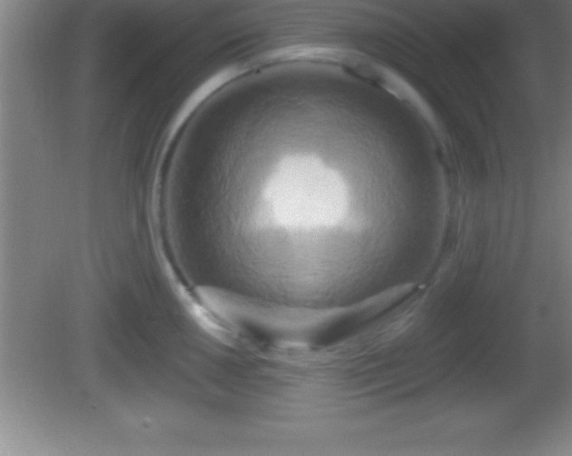 X0000081601050200701221131