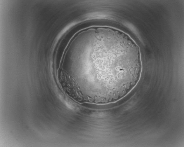 X0000081601051200701221131