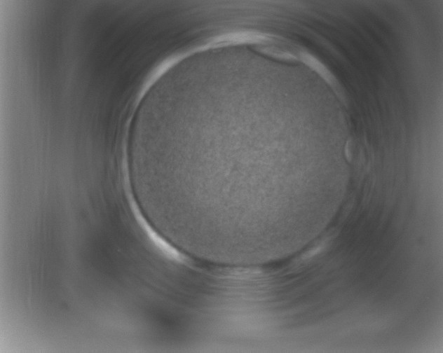 X0000081601055200701221131