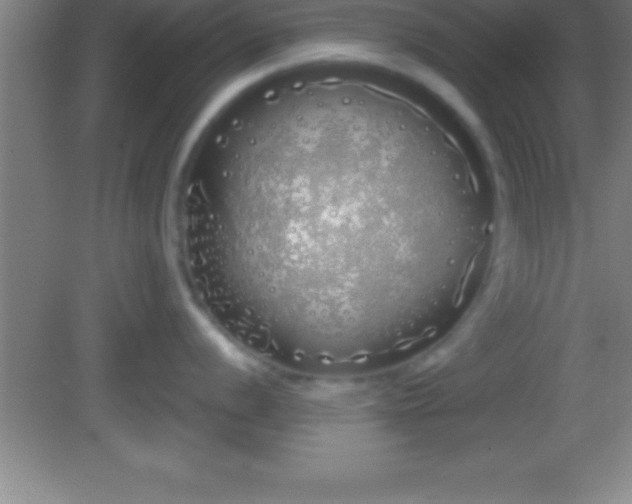 X0000081601056200701221131