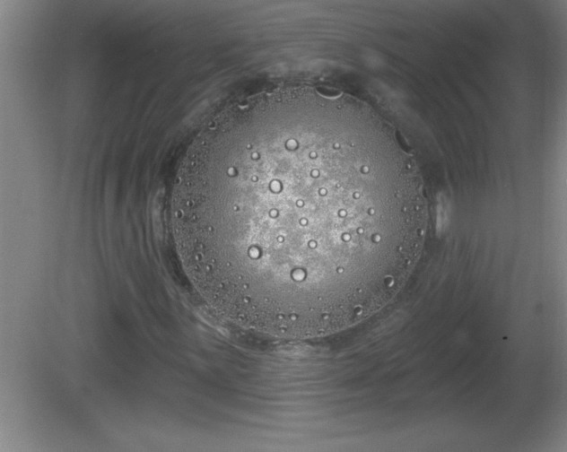 X0000081601059200701221131