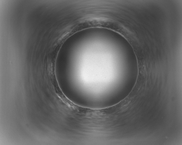 X0000081601061200701221131