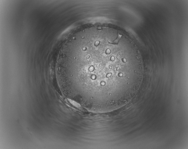 X0000081601063200701221130