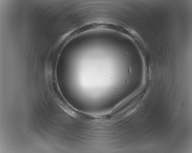 X0000081601065200701221130