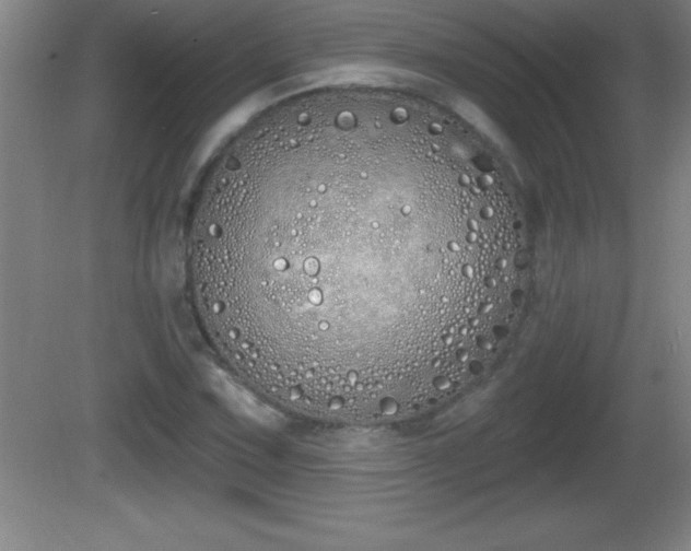 X0000081601067200701221130