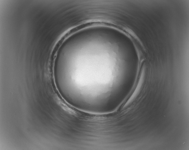 X0000081601068200701221130