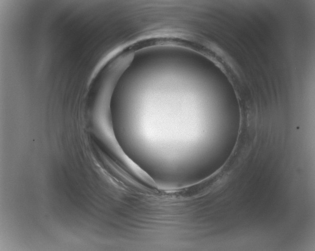 X0000081601069200701221130