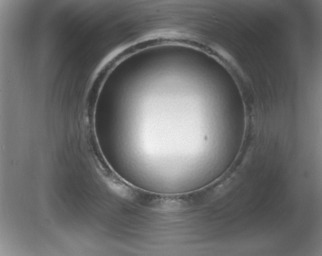 X0000081601070200701221130