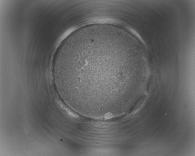 X0000081601071200701221130