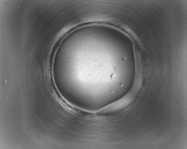 X0000081601072200701221130