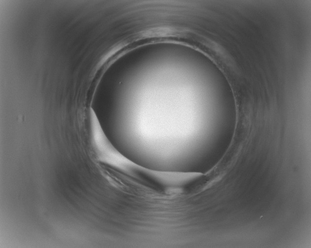 X0000081601073200701221130