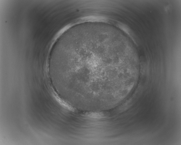 X0000081601074200701221130