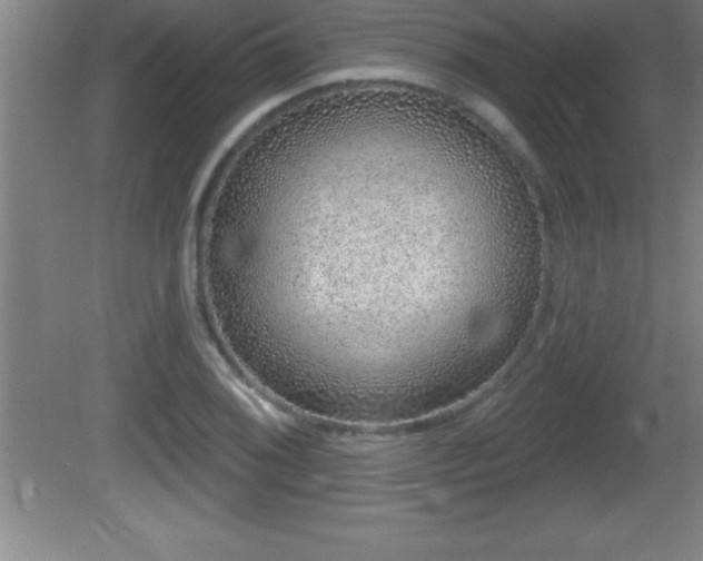 X0000081601076200701221130