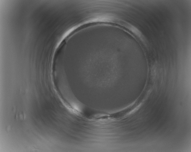 X0000081601077200701221130