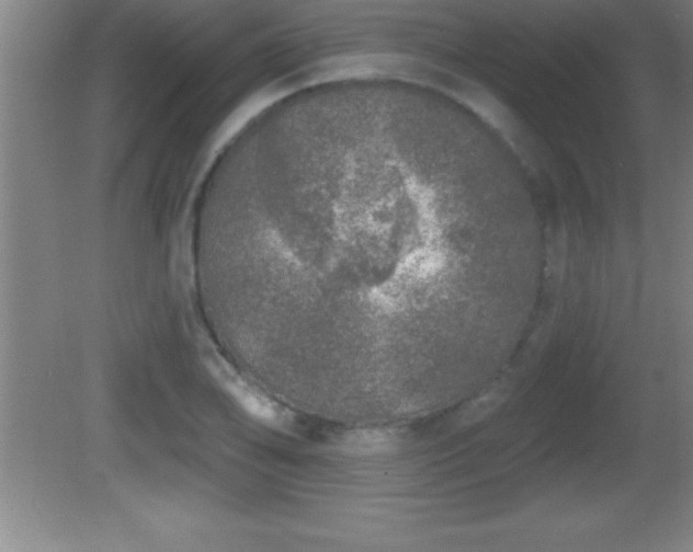 X0000081601078200701221130