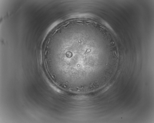 X0000081601079200701221130