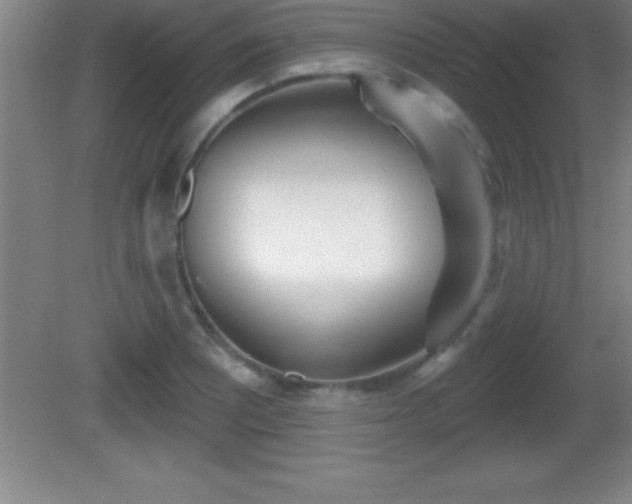 X0000081601081200701221130