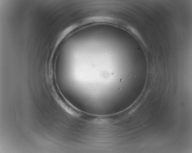 X0000081601082200701221130