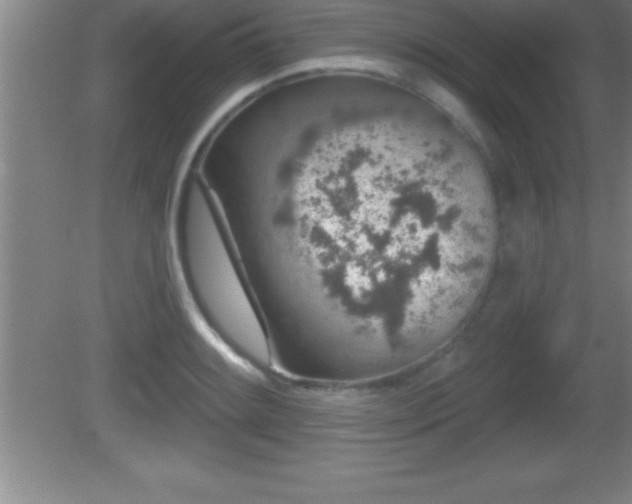 X0000081601084200701221130