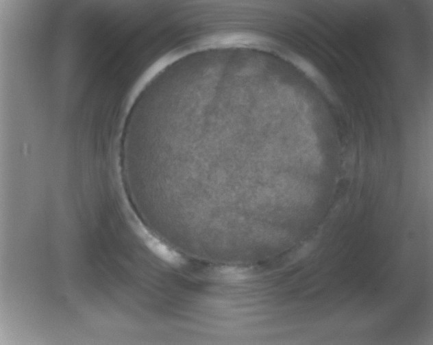 X0000081601086200701221130