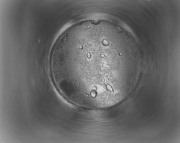 X0000081601087200701221130