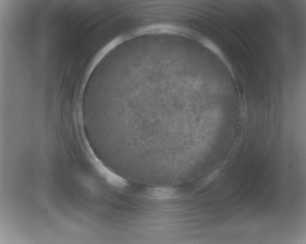 X0000081601090200701221130