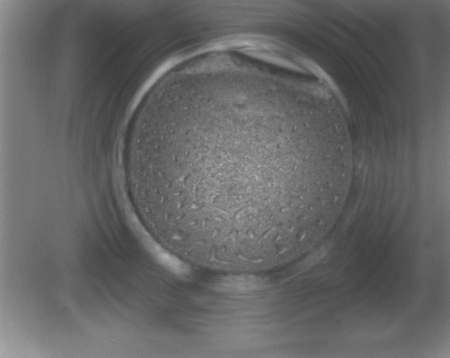 X0000081601091200701221130