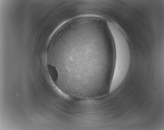 X0000081601092200701221130