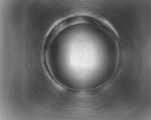 X0000081601093200701221130