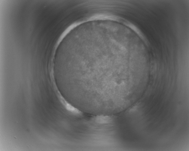 X0000081601094200701221130